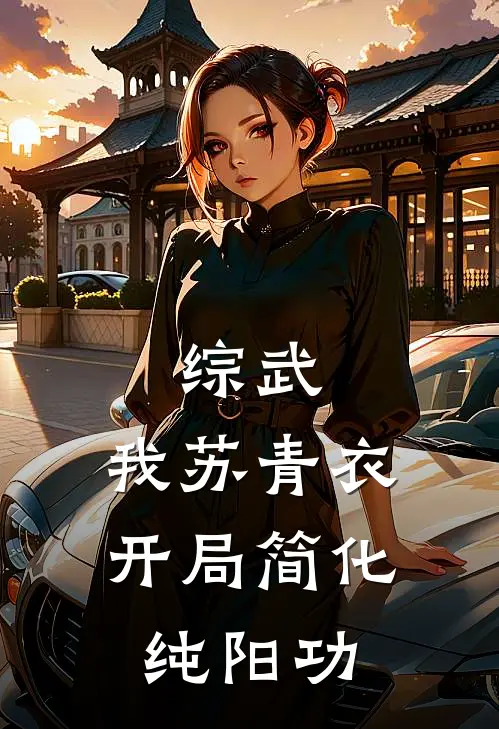 综武：我苏青衣，开局简化纯阳功